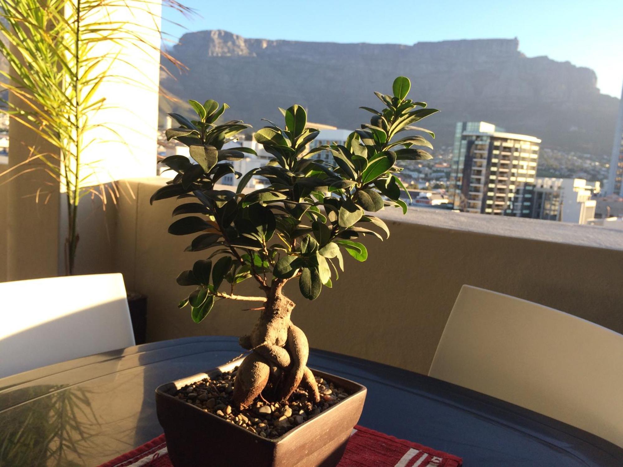Apt 67 Long Street No Loadshedding Kaapstad Kamer foto